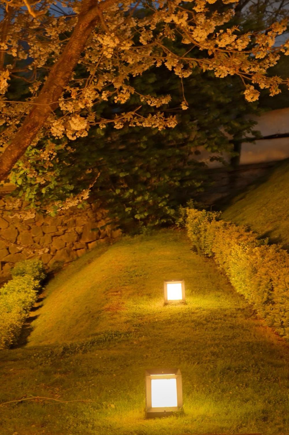 listing card gallery