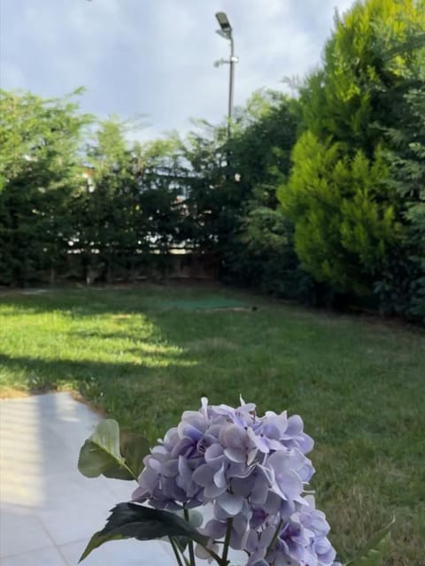 listing card gallery