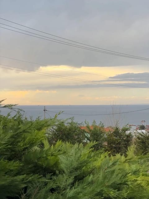 listing card gallery